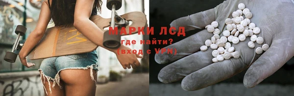 СК Магадан