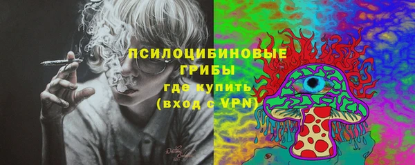 СК Магадан